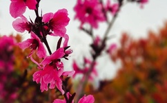 国产又粗又猛又爽又黄老大爷一